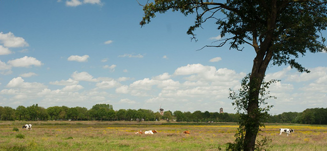 Ringdijk route